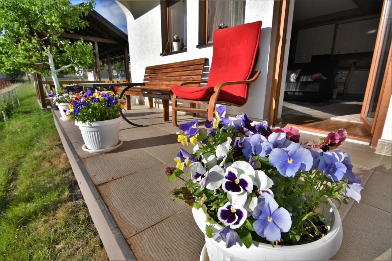 Guest House Blue Views Плав Экстерьер фото